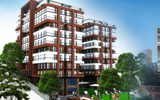 Istova Green 1